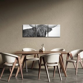 Obraz - Szkocka krowa 2, czarno - biały (z zegarem) (90x30 cm)