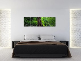 Obraz - Stare drzewo z korzeniami (170x50 cm)