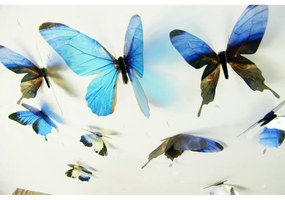 Zestaw 18 niebieskich adhezyjnych naklejek 3D Ambiance Butterflies