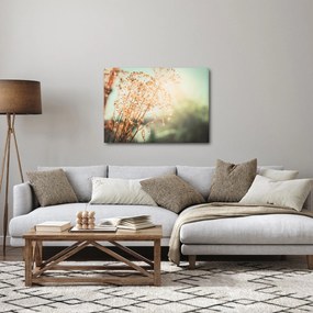 Obraz - Rośliny po deszczu (70x50 cm)