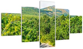 Obraz - Babia Góra, Polska (125x70 cm)