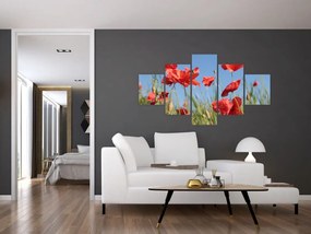 Obraz - Maki (125x70 cm)