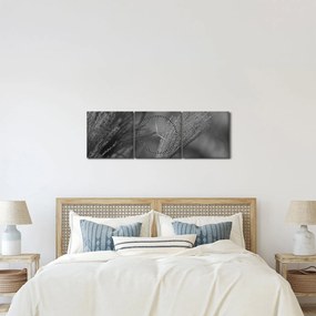 Obraz - Suszona trawa pampasowa (z zegarem) (90x30 cm)