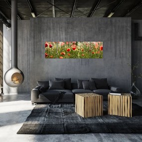 Obraz maków (170x50 cm)