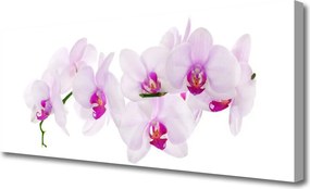 Obraz canvas Pastelowy Ogród Botaniczny