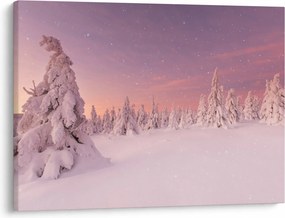 Obraz - Drzewa pod warstwą śniegu (70x50 cm)