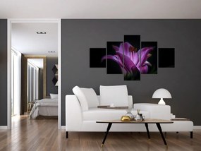 Obraz lilii (125x70 cm)