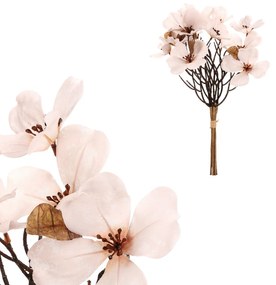 Magnolia biała, 6 gałązek w pęku, 30 x 43 cm