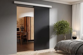 Emporius drzwi 60 cm Doris - drewniane drzwi przesuwne, naścienne - Grafit
