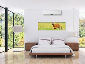 Obraz - Sarna (170x50 cm)