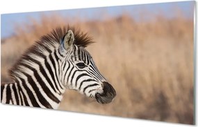 Panel szklany do Kuchni Spojrzenie Dzikiej Zebry
