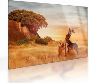Obraz na szkle - Żyrafy w Afryce (70x50 cm)