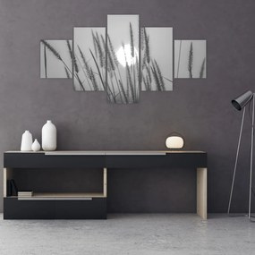 Obraz - Łąka o zachodzie słońca (125x70 cm)