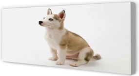 Duży obraz na płótnie Siedzący Mały Piesek