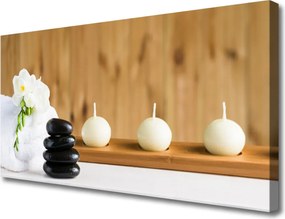 Obraz canvas Rozkwitająca Flora Botaniczna