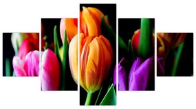 Obraz tulipanów na czarnym tle (125x70 cm)