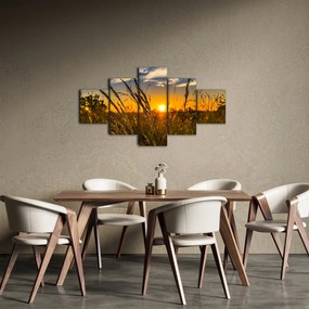 Obraz pola o zachodzie słońca (125x70 cm)