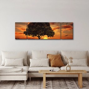 Obraz drzewa o zachodzie słońca (170x50 cm)
