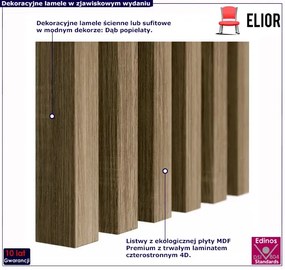 Lamele ścienne 12 szt. dąb popielaty B6-L27