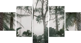 Obraz - dżungla w porannej mgle (125x70 cm)