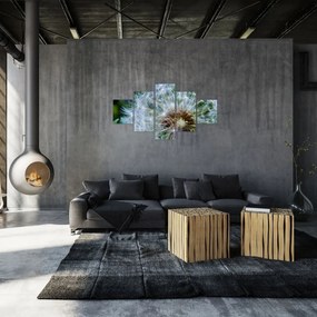 Obraz przekwitniętego dmuchawca (125x70 cm)