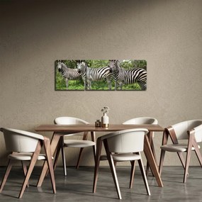 Obraz z zebrami (z zegarem) (90x30 cm)