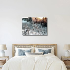 Obraz - Frozen Meadow (70x50 cm)