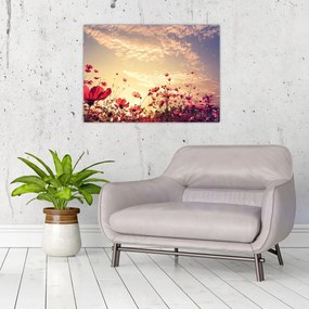 Obraz na szkle - Łąka z kwiatami (70x50 cm)