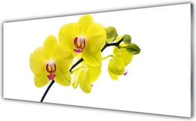 Szkło Dekoracyjne do Kuchni Wyrafinowana Flora Ogrodowa