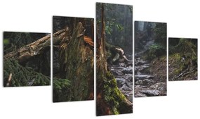 Obraz - W lesie (125x70 cm)