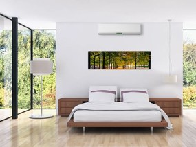 Obraz alei jesiennych drzew (170x50 cm)