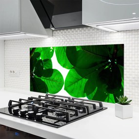 Panel Kuchenny Stylowy Motyw Botaniczny