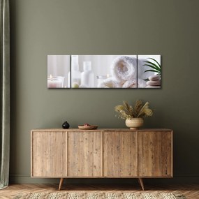 Obraz - Spa (170x50 cm)