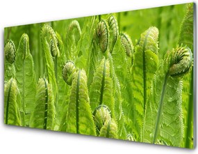 Panel Szklany Świeżość Zielonych Liści