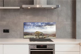 Panel szklany do Kuchni Pantera na tle Chmur