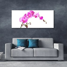 Obraz canvas Wyrafinowany Ogród Botaniczny