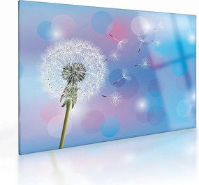 Obraz na szkle - Dmuchawiec na wietrze (70x50 cm)