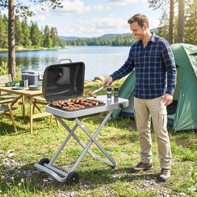 Outsunny Przenośny grill gazowy 1-palnik 2,5kW wózek grillowy mit składanym podwoziem, ruszt, boczna półka, pokrywa, termometr | Aosom PL