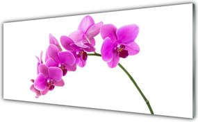 Panel nad blat kuchenny Elegancja Egzotycznej Natury