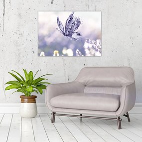 Obraz - Motyl i lawenda (70x50 cm)