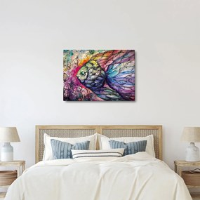 Obraz - Kolorowa rybka (70x50 cm)