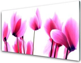 Szkło Ozdobne do Kuchni Dzika Łąka Kwiatowa