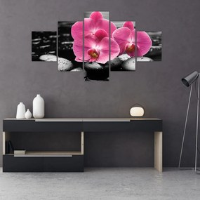 Obraz - Różowe orchidee (125x70 cm)