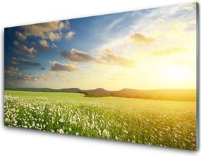 Panel Szklany Barwna Panorama Polnej Łąki