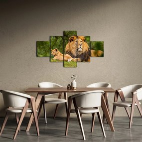 Obraz lwów (125x70 cm)