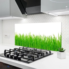 Panel Szklany Naturalna Gęstwina Trawy