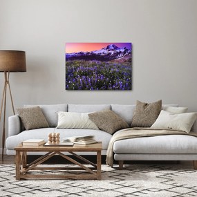 Obraz - Wulkan i kwiaty (70x50 cm)