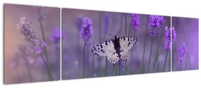 Obraz - Motyl w lawendach (170x50 cm)