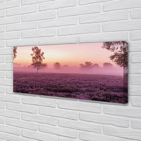 Obraz drukowany na płótnie Pole Wrzosów