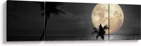 Obraz - Plaża pod pełnią księżyca w odcieniach szarości (170x50 cm)
